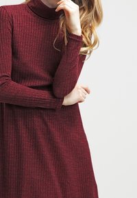 Robe en turtleneck côtelé bordeaux avec des manches longues. Texture douce, silhouette fluide et détails de motif subtils sur l'ensemble du tissu.