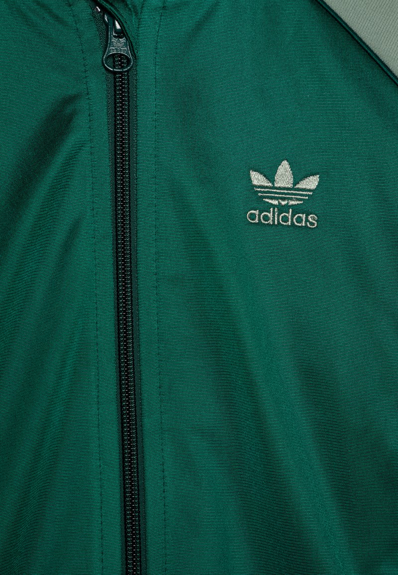 adidas Originals SUPERSTAR - Chndal - collegiate green/verde - Zalando.es