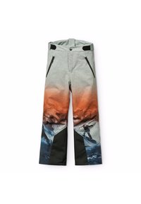 Molo JUMP PRO SKIWEAR PANTS - Sínadrágok - orange/grey