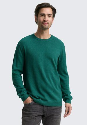 Grüner Rundhalsausschnitt-Pullover aus weichem Stoff, mit langen Ärmeln und lockerer Passform, getragen mit grauen Jeans. Glatte Textur und einfarbig.