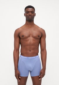 Helle blaue Boxershorts mit weichem Material, ausgestattet mit einem weißen elastischen Bund mit "BJÖRN BORG" Logo. Getragen von einem männlichen Modell.