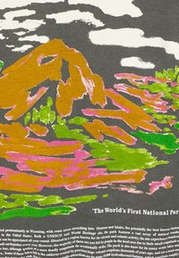Illustrazione colorata che presenta una montagna stilizzata con terreno arancione e verde, motivi d'acqua rosa e grigi e accenti di nuvole bianche.