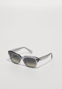 STATE STREET - Sončna očala - transparent grey/grey