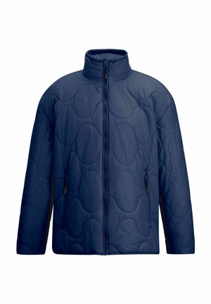 Regatta, REGATTA CARLOTTE PUFFER JACKETS - Regenjacke / wasserabweisende Jacke - blue