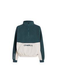 POLARTEC  - Sweat polaire - alma steel colour block