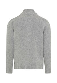 Hellgrauer gestrickter Pullover mit geripptem hohen Kragen, langen Ärmeln sowie gerippten Bündchen und Saum, von hinten gezeigt.