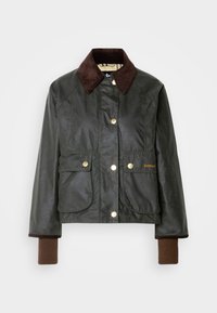 Não selecionado, sage/ancient