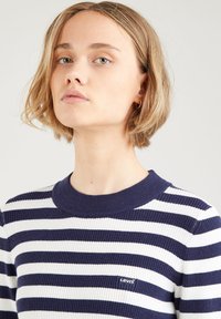 Wzorzysty sweter w niebiesko-białe paski, o prążkowanej fakturze, z okrągłym dekoltem, z małym logo Levi's po lewej stronie. Widoczne krótkie rękawy.