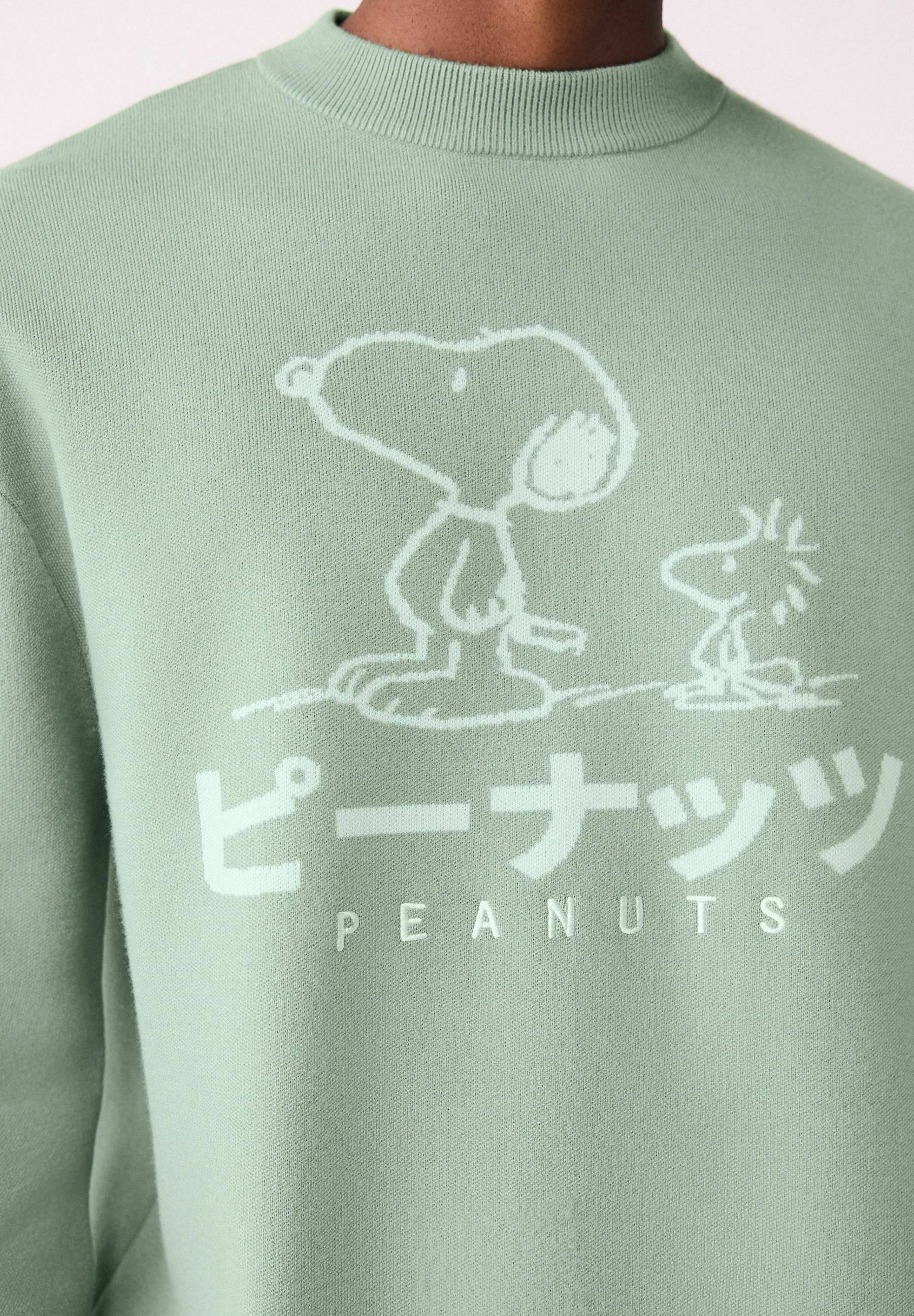 トップス FRAMeWORK MMA PEANUTS VTG CREW SWT CHA Next SNOOPY GRAPHIC PRINT CREW NECK - Jumper - sage green/green