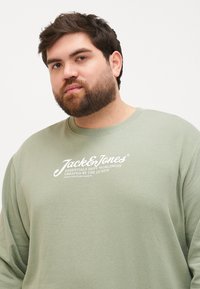 Lichtgroene sweatshirt met lange mouwen en ronde hals, voorzien van een witte opdruk van het merklogo op de borst, gemaakt van zacht katoen.