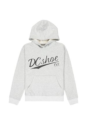 SUBSTITUTE - Sweat à capuche - sfrh light heather grey