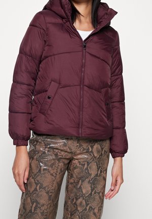 Winterjas - bordeaux