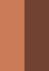 medium tan