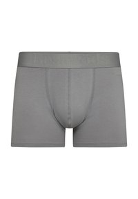 Graue Boxershorts aus einem weichen, glatten Material mit einem breiteren Bund, der mit dem Markennamen geprägt ist. Keine sichtbaren Muster oder Akzente.