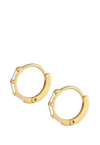 Boucles d'oreilles créoles en ton or avec des accents rectangulaires clairs, une finition lisse et un mécanisme de fermeture à fermoir. Design élégant et moderne.