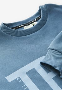Blauwe sweatshirt met geribbelde ronde halslijn en boorden. Heeft een grote lichtblauwe graphic op de voorkant. Zachte, gestructureerde stof. Labels zichtbaar aan de binnenkant.