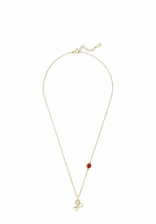 ZODIAC BIRTHSTONE CAPRICORN GARNET - Necklace4