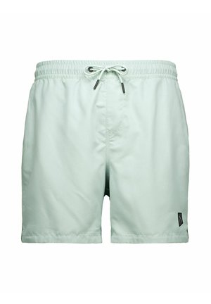 Costume da bagno da uomo verde chiaro con elastico in vita, coulisse regolabile e piccolo logo nero sulla parte inferiore della gamba sinistra.