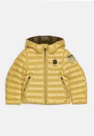 Veste matelassée jaune avec capuche, fermeture éclair devant, deux poches zippées et un écusson de marque sur la manche gauche.