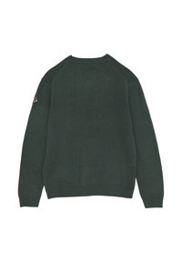 Maglione verde a maglia con scollatura rotonda e maniche raglan. Presenta un tessuto testurizzato, polsini a coste e un logo sulla manica sinistra.