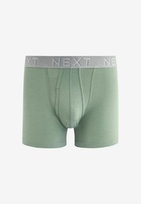 Next A FRONTS 10 PACK - Boxer alsónadrág - blue grey pink