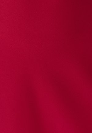 Tessuto rosso con una superficie liscia e di colore uniforme. Nessun motivo o dettaglio notevole visibile.