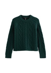 RAGLAN SLEEVE - Trui - dark green