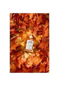 Maison Margiela Fragrances REPLICA AUTUMN VIBES - Eau de toilette - autumun vibes