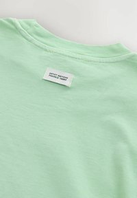Tricou mint verde, cu o textură moale și un decolteu rotund. Eticheta de pe spate spune "EDITII ALE ARTISTULUI FRANKIE THORP."