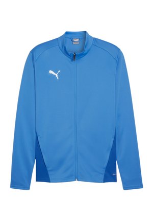 FUSSBALL-TEAMS-GOAL TRAINING 1/4 ZIP - Longsleeve - blue
