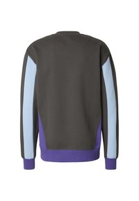 Katoenen sweater met een donkergrijze body, lichtblauwe zijpanelen en paarse accenten bij de manchetten en zoom. Crewneck ontwerp.