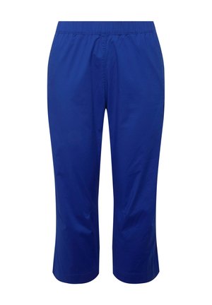 Pantaloni blu, fino al ginocchio, realizzati in materiale leggero. Presentano una vita elastica e una superficie liscia. Design semplice senza motivi o dettagli.