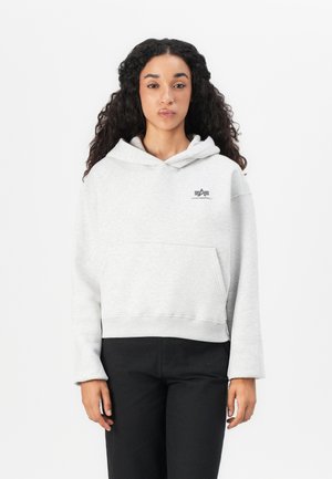 BASIC HOODIE - Mikina - pastel grey