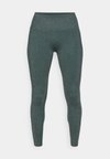 SEAMLESS HIGH WAISTED LEGGING - Legíny - everpine sparkle