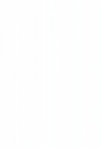 Gul turistbus kører på en snoet bjergvej omgivet af klippevægge og fyrretræer under en klar blå himmel.