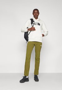 The North Face W DREW PEAK REGULAR HOODIE - Kapuzenpullover - white dune