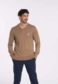 Pull brun en V en tissu tricoté, arborant un petit logo blanc sur le côté gauche de la poitrine. Le modèle porte un pantalon bleu marine.