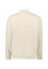 Beige sweater met lange mouwen, geribbelde manchetten en zoom, gezien van achteren, met een hoge kraag en gladde stof.