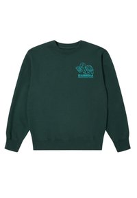 Felpa verde scuro con maniche lunghe, polsini e bordo a coste, con una grafica turchese di una tartaruga e il testo "KAMERA negozio di elettronica."