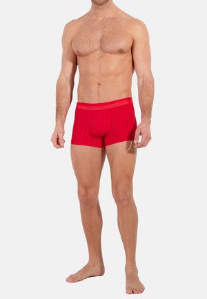 Rot gestreifte Boxershorts mit eng anliegendem Schnitt, ausgestattet mit einem dicken, elastischen Bund mit Logo. Glatte Textur, mittellange Beine bis zur Oberschenkelmitte.