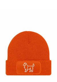 Unselected, australian shepherd orange