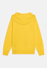 Felpa gialla con cappuccio e maniche lunghe. Presenta una vestibilità comoda, polsini a costine e una texture morbida in cotone. Nessun logo o motivo visibile.