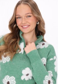 Grüner Pullover mit einem Viertel-Reißverschlusskragen, einem weichen Stoff und weißen Blumen mit braunen Mittelpunkten als Hauptmuster.