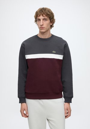 Jonge man draagt een colour-blocked sweatshirt in donkergrijs, wit en bordeaux met een klein groen krokodillenlogo op de borst.