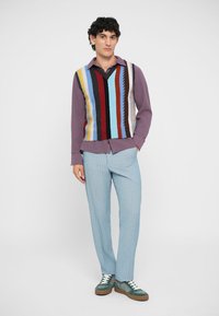 Gilet lavorato a maglia con strisce verticali multicolori su una camicia viola; abbinato a pantaloni a righe blu chiaro e sneakers verdi con lacci bianchi.