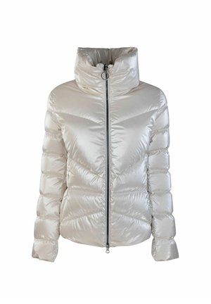 Giacca trapuntata imbottita in tessuto lucido beige chiaro, con colletto alto e zip frontale, caratterizzata da cuciture diagonali e maniche a sbuffo.