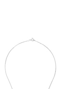 Silver kedja halsband med fina länkar, som har en lobsterklämma. Designen är elegant och minimalistisk med en polerad yta.