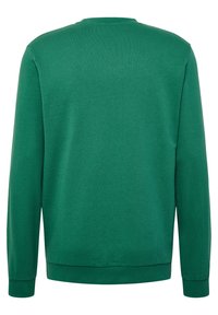 Grön sweatshirt med långa ärmar, rundhalsad och ribbade muddar. Mjuk tygkvalitet med en slät yta och inga synliga mönster eller detaljer.