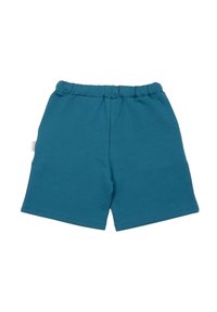 Blaue Baumwollshorts mit einem elastischen Bund, geradem Schnitt und glatter Textur. Einfaches Design ohne Taschen oder zusätzliche Verzierungen.