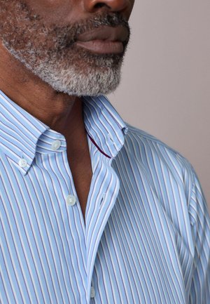 Nahaufnahme eines Mannes mit grauem Bart, der ein hellblau-weiß gestreiftes, geknöpftes Hemd mit Knöpfen am Kragen trägt.